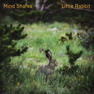 大雷擦狙狙网站免费
