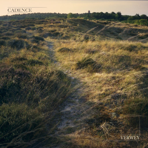 大雷擦狙狙网站免费
